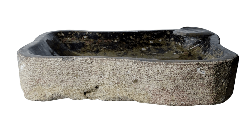 MOC Natuursteen Vrije vorm Opzetbak met Goniatiet en Orthoceras fossielen